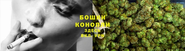 дурь Пестово