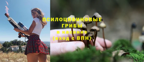 мескалин Переславль-Залесский