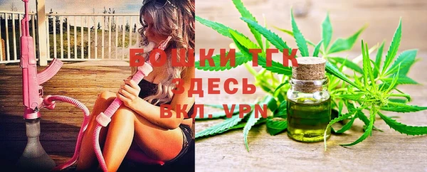 дурь Пестово