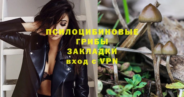 мескалин Пересвет