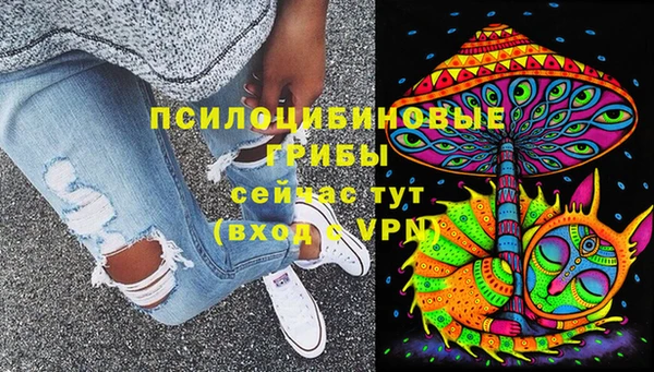 мескалин Переславль-Залесский