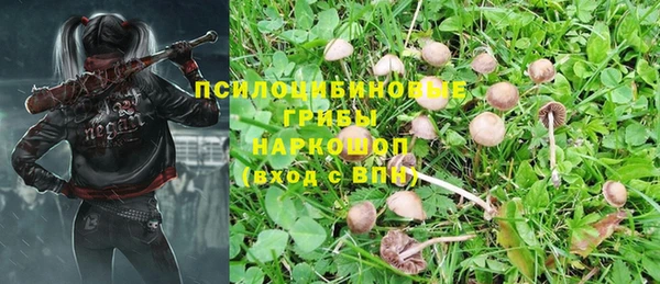 дурь Пестово